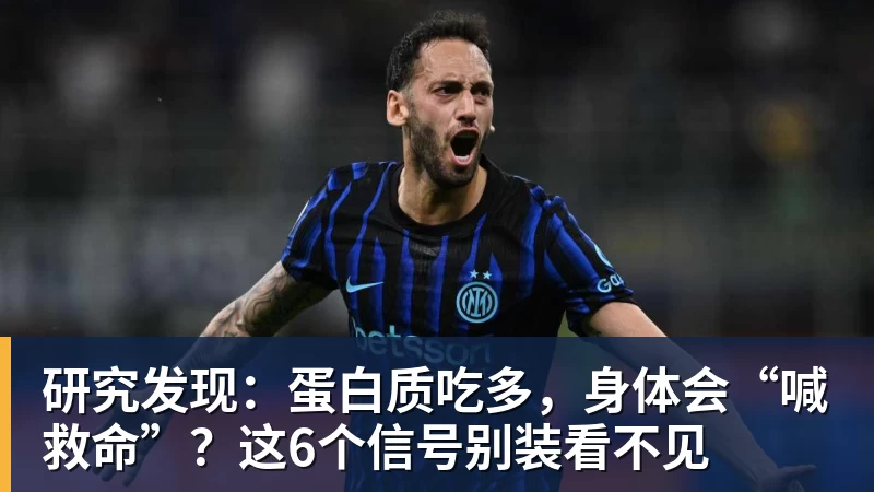 研究发现:蛋白质吃多,身体会“喊救命”?这6个信号别装看不见