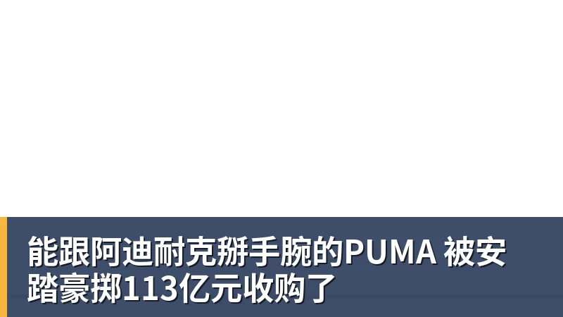 能跟阿迪耐克掰手腕的PUMA 被安踏豪掷113亿元收购了